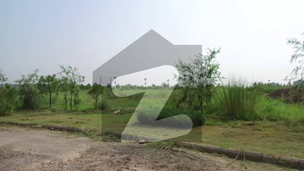 7 Marla Cutting Area Heighted Location Solid Land Plot For Sale In Block T