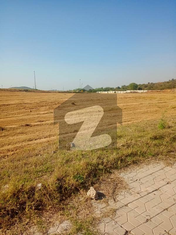 21 Marla Street Corner Ready To Contraction Maps Possession Utility Paid Plot For Sale Solid Land 21 Marla Street Corner Ready To Contraction Maps Possession Utility Paid Plot For Sale Solid Land