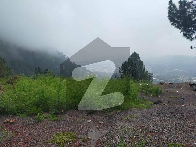 1 Kanal Plot Available For Sale in Jinnahabad Mandian Abbottabad