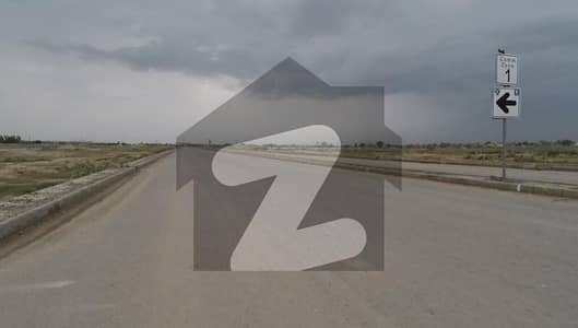 ڈی