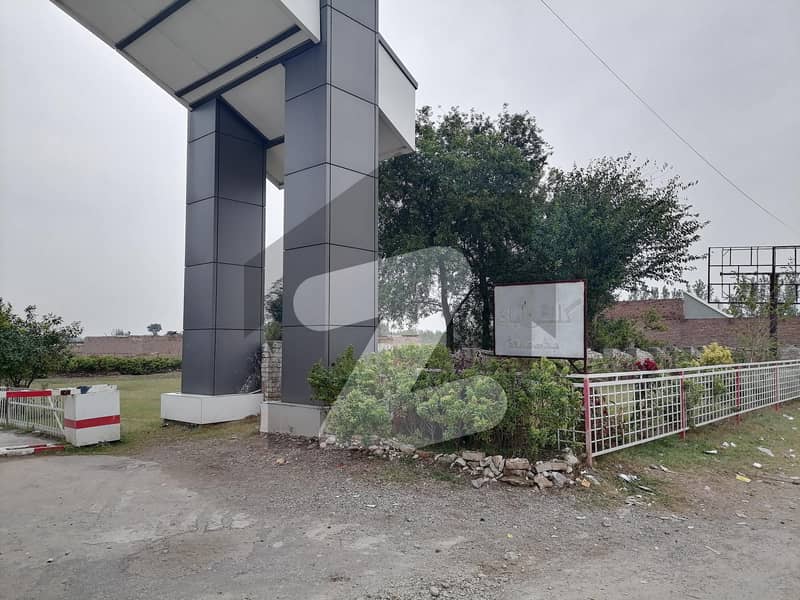 Want To Buy A Residential Plot In Budhni Road? Want To Buy A Residential Plot In Budhni Road?