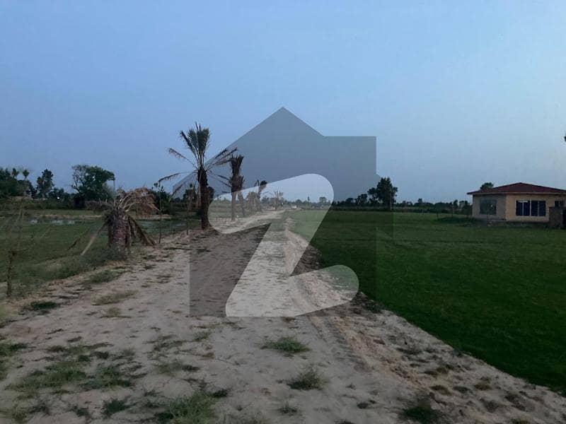 4 Kanal Farm House For Sale In DHA Phase 10