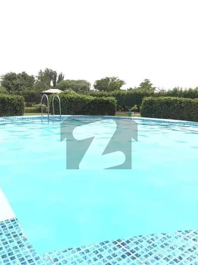 9 Marla brand new with swimming pool for sale