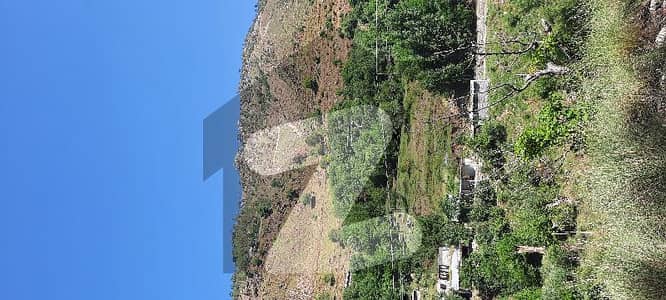 4 Kanal Land for sale in Naran near to mosque and commercial area 
easy access wide roads 
top heighted location 
beautiful view