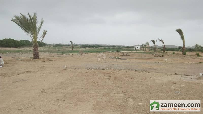 120 Square Yard Plot Is Available For Sale