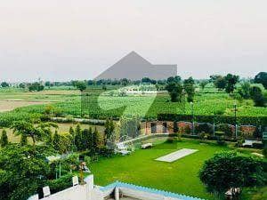 6 Kanal Farm House Land For Sale Main Barki Road Lahore Cantt