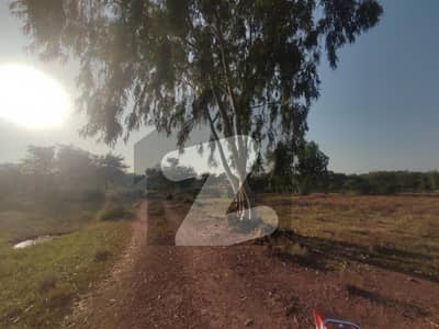 16 Kanal Farm Land Available For Sale In Fateh Jhang