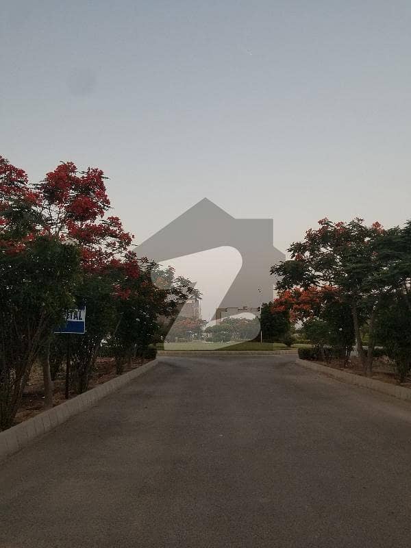 Plot Available For Sale Al Jadeed Residency Plot Available For Sale Al Jadeed Residency