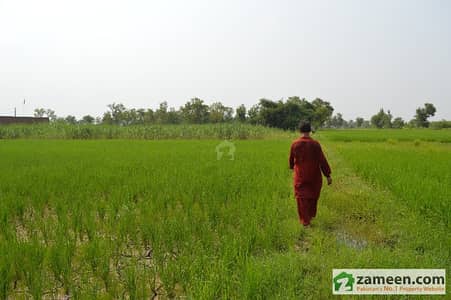 72 Kanal Land For Sale - 5. 7 Km From Qartaba Town Sargodha Bhalwal Rd. 