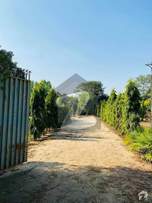 8 Kanal Farm House For Sale 8 Kanal Farm House For Sale