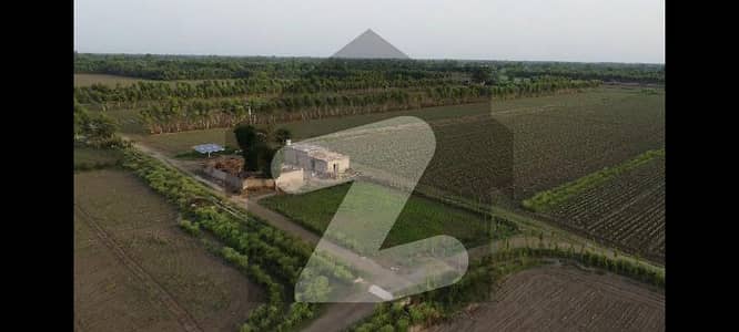 46 Acres canal (Nehri) fertile land, on link road 2.5 KM from MM Road. 12 KM from Chandni Chok, Approachable through motorway M14 in 3 hours from Islamabad.