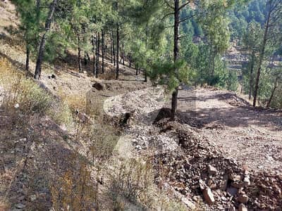 ایبٹ آباد ہائٹس روڈ ایبٹ آباد میں 10 مرلہ رہائشی پلاٹ 1.4 کروڑ میں برائے فروخت۔