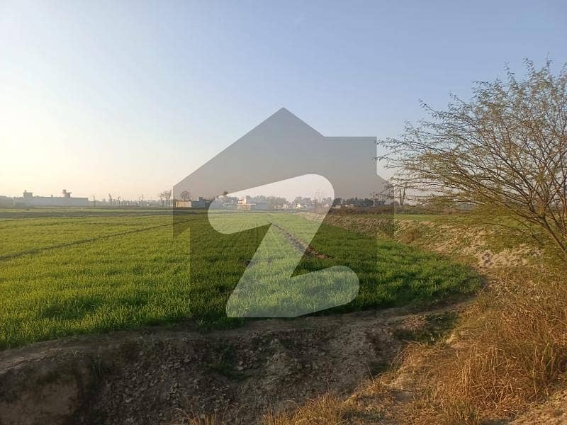 Farm Land For Sale In Mansar, Hazro, District Attock, Punjab, Pakistan