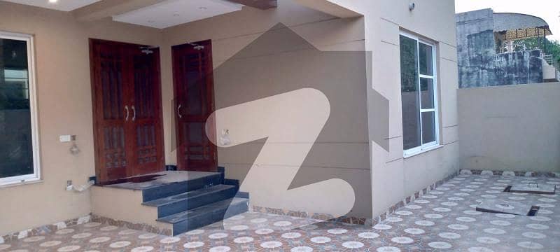 10 Marla Beautiful House Available For Rent At Reasonable Price In Dha Phase 8 | M Block