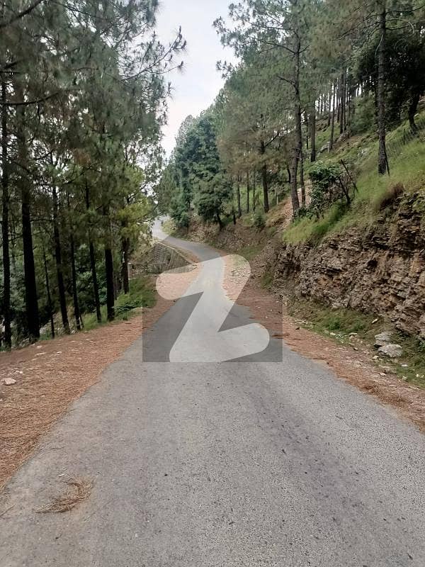 5 Marla Plot For Sale In Pir Sohawa Islamabad