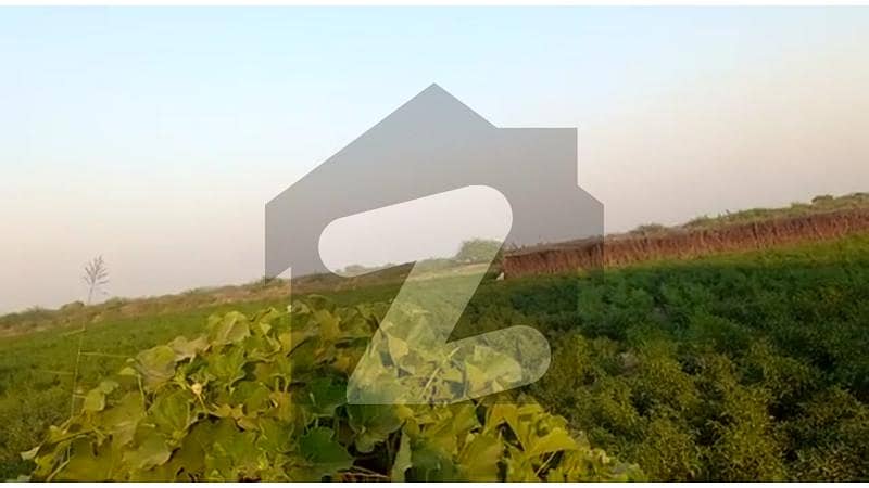 2100 Acres Agriculture Land Available For Sale In Thatta