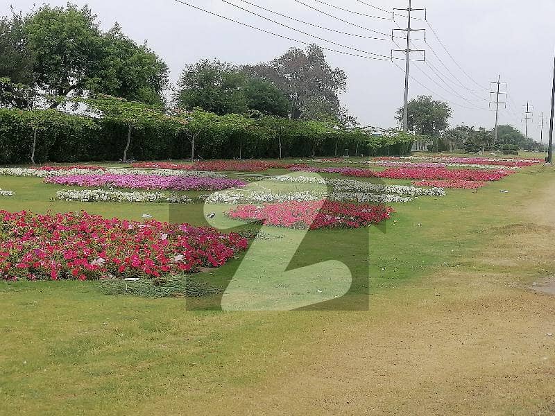 A Perfect Commercial Plot Awaits You In Punjab Coop Housing Society Punjab Coop Housing Society