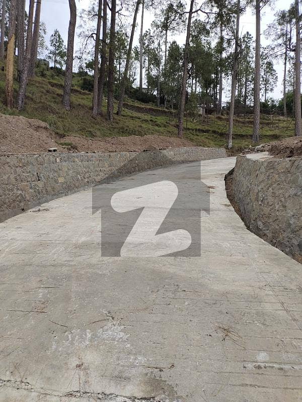 1125 Square Feet Spacious Plot File Available In Murree Expressway For Sale