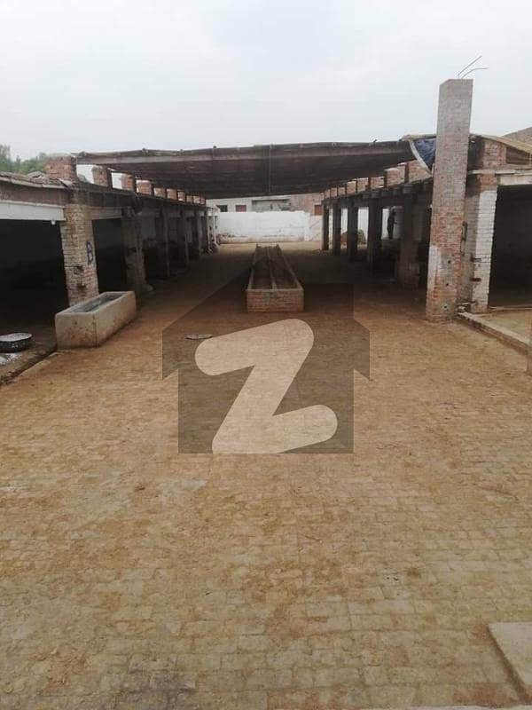 3 kanal dairy from available for rent