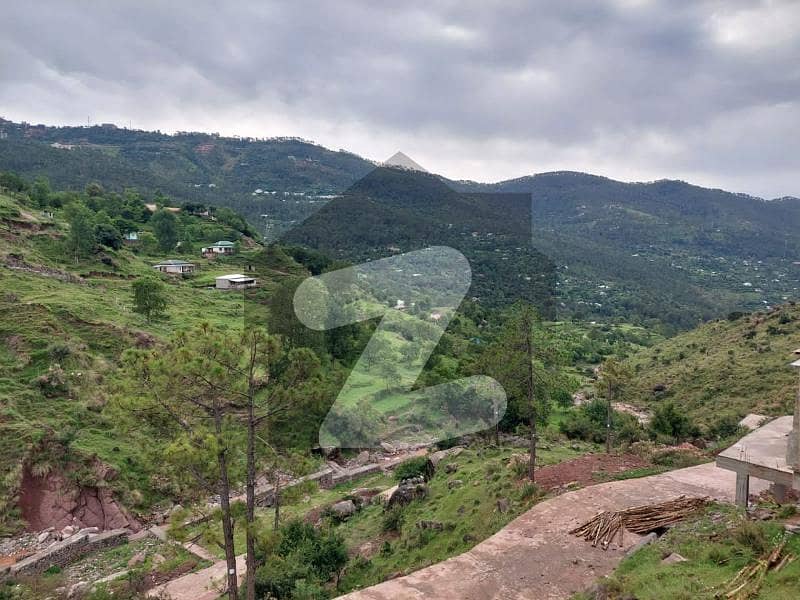 Plot Is Available For Sale In Murree