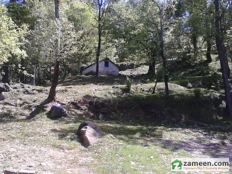 Murree Land For Sale A Beautiful Location Near Sunny Bank Murree Murree Land For Sale A Beautiful Location Near Sunny Bank Murree