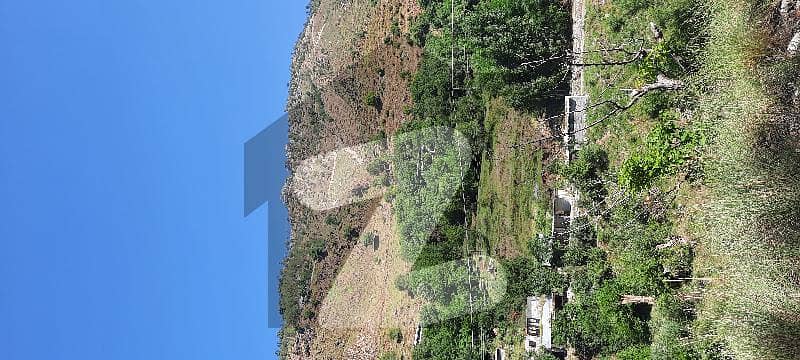 Land available for sale in Murree Galiyat and surrounding areas top heighted location Beautiful view near to main road