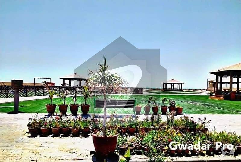 Gwadar 4 Kanal Farmhouse Land For Sale In Pishukan
