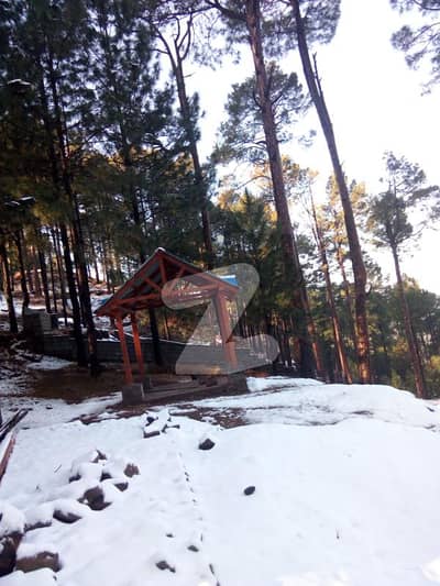 11 Thousand Per Month Installment Book 5 Marla Plot File In New Murree