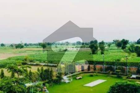 حربور لاہور میں 4 کنال زرعی زمین 35.0 لاکھ میں برائے فروخت۔