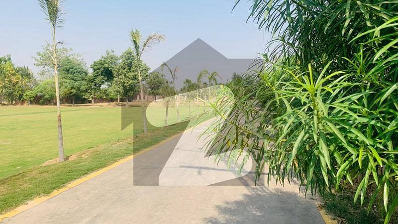 1 Kanal Farm House For Sale In Swiss Farms By Empire Estate Bedian Road Lahore