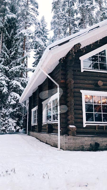 Charming Mountain Retreat: One-Bedroom Cottage Surrounded by Snow