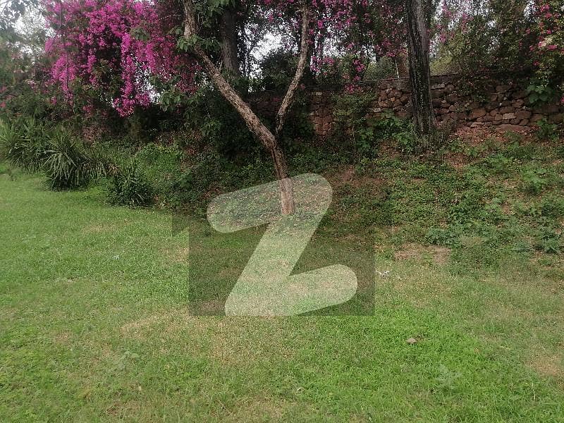 Mini Farm House For Rent Mini Farm House For Rent