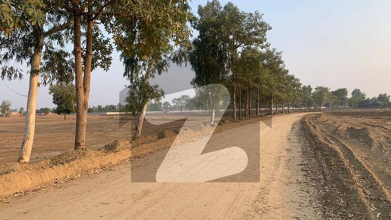 2 Kanal Plot For Farmhouse Available For Sale In Orchard Greenz On Bedian Road