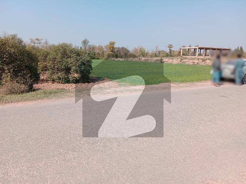 5 Kanal Plot Sale Urgent Front 170 Ft On Dharama To 92 Mor Bypass