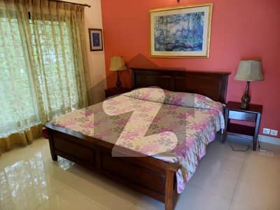 1 Kanal Upper Portion Fully Furnished Available For Rent