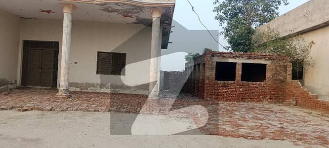 3 Kanal Dairy Farm Available For Rent