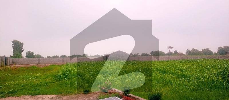 8.3 Kanal Farm for Sale in Lahore.