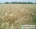 1 original land images