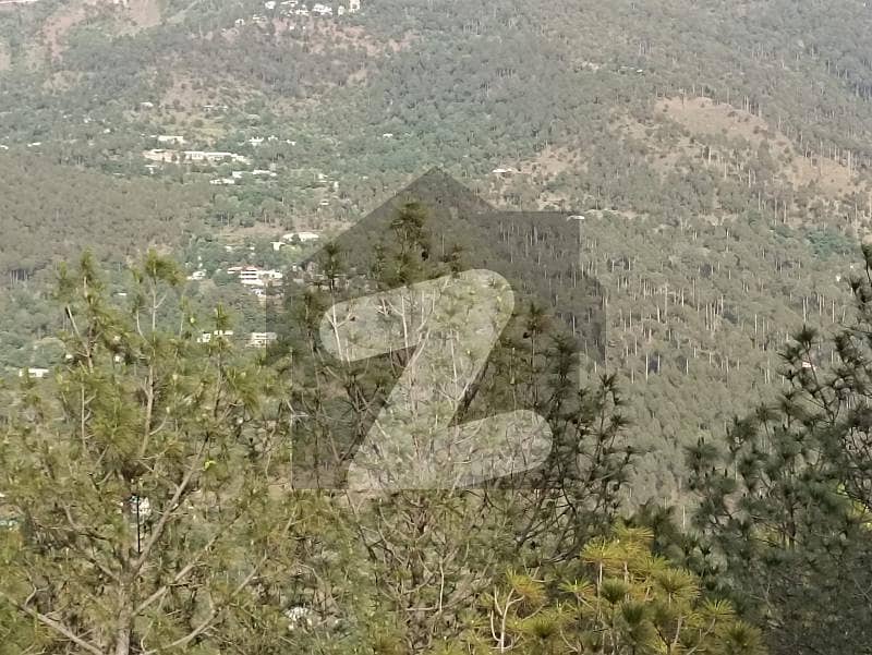 Studio Flat In Pine Apartments Murree At Main Express Way By Asco