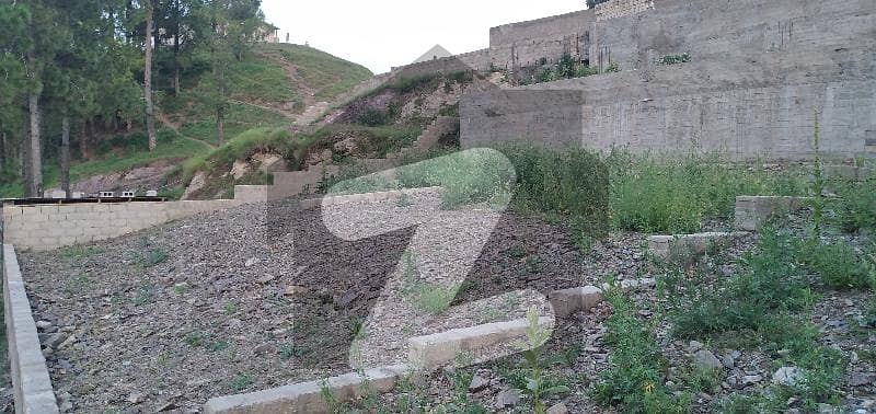 30 Marla Plot For Sale In Chinar Street Kaghan Colony Mandian Abbottabad