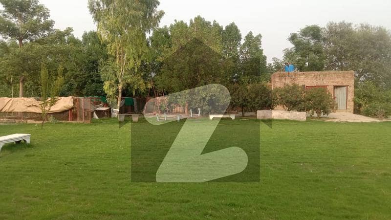 بیدیاں روڈ لاہور میں 3 کمروں کا 16 کنال فارم ہاؤس 5.0 کروڑ میں برائے فروخت۔