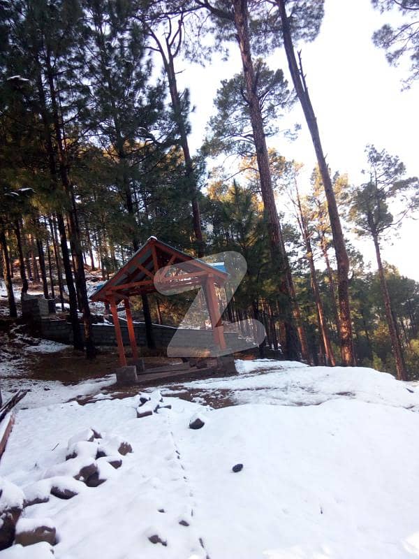 New Murree Near Kohsaar Highway 5 Marla Plot Booking 2 Lac