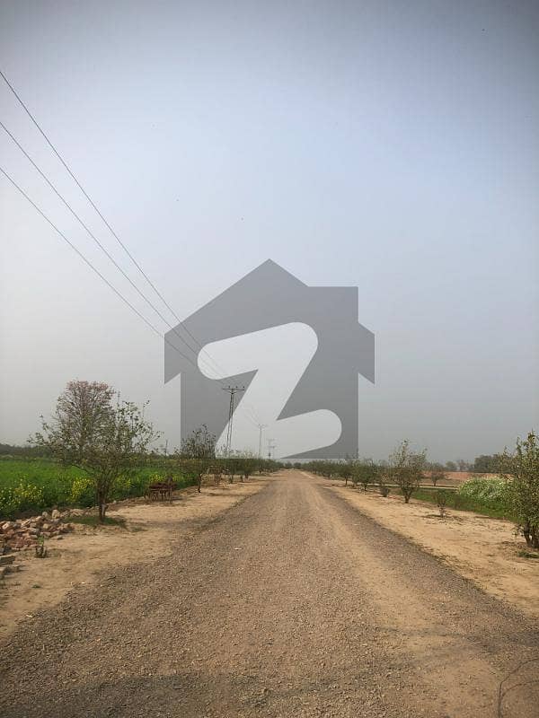 1 Kanal Farm House Plot Available For Sale In Sj Canal Farms On Bedian Road Lahore