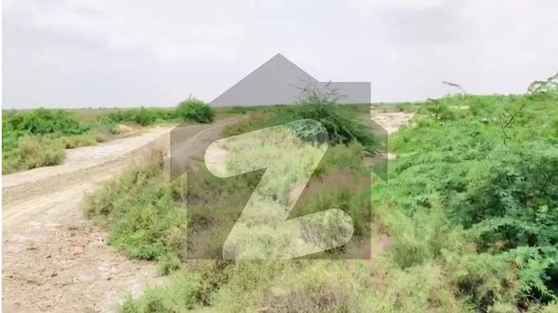 495-Acres Agriculture land Available for Sale in a short distance of Keti Bandar, Thatta