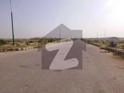 79 Sector 120 Yards Plot For Sale In Taiser Town