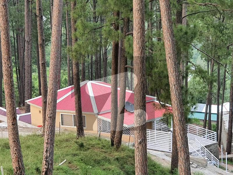 Ideally Located Residential Plot For Sale In New Murree Available