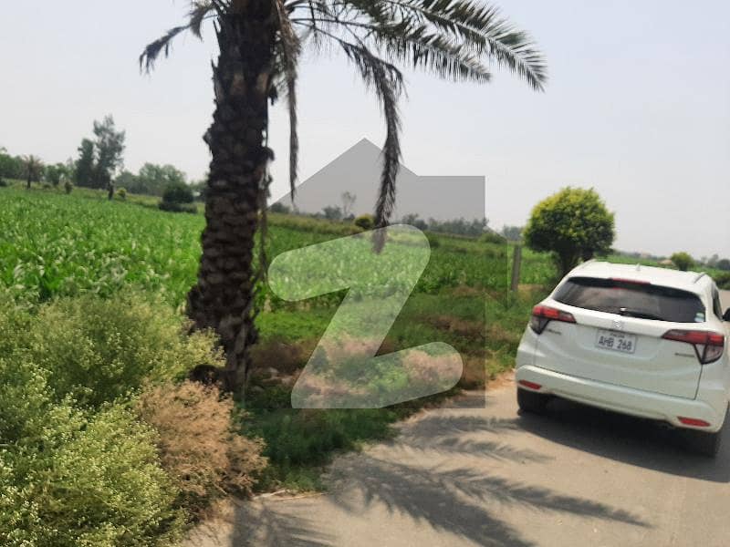 بیدیاں گرینز فارم ہاؤسز بیدیاں روڈ,لاہور میں 4 کنال زرعی زمین 32.0 لاکھ میں برائے فروخت۔