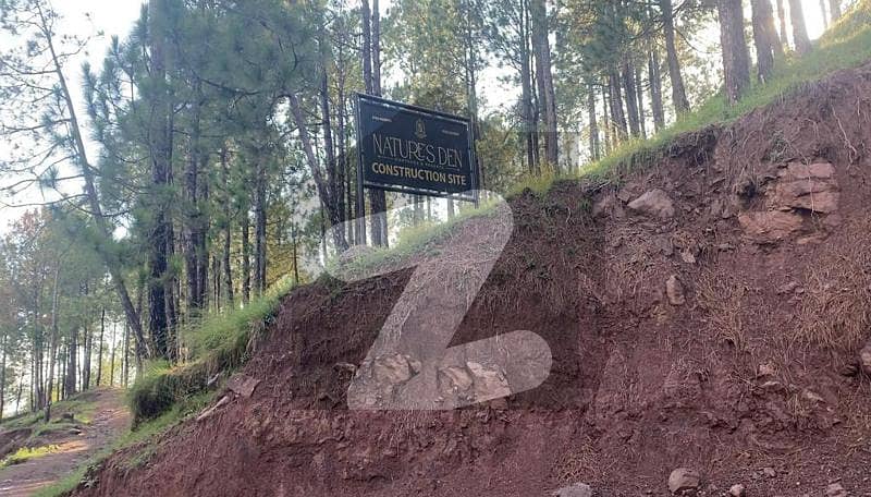 Property For Sale In Murree Expressway Murree Expressway Is Available Under Rs. 899,000