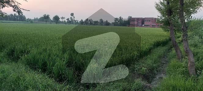 ما نگا - رائیونڈ روڈ لاہور میں 64 کنال زرعی زمین 10.0 کروڑ میں برائے فروخت۔