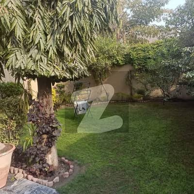 20 Marla Beautiful House For Rent